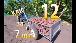 Potato harvester for walk-behind tractor. Harvesting 12 buckets of potatoes in 7 minutes.