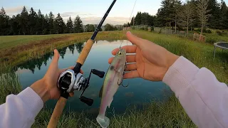 Throwing BIG swimbaits in a Tiny Pond