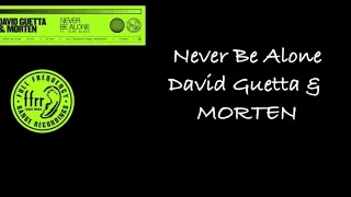 David guetta & Morten — never be alone lyrics