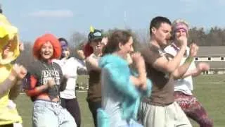 Muppet Flashmob Proposal