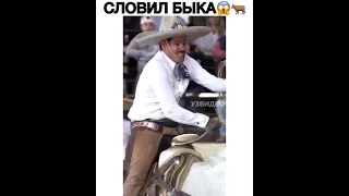 Словил быка😱