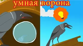 умная ворона | Сказки для детей | мультфильмы для детей | Русские Моральные Истории