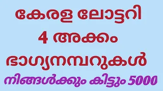 Kerala lottery Repeated numbers guessing chance numbers 2024