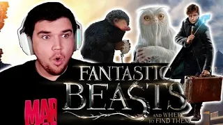 “I wish I was a wizard.” Fantastic Beasts and Where to Find Them Movie Reaction