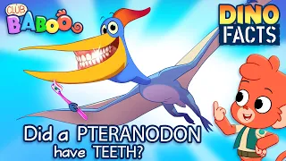 Learn Dino Facts about PTERANODON | Club Baboo | HALF HOUR Dinosaur videos for kids | T-Rex and more