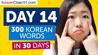 Day 14: 140/300 | Learn 300 Korean Words in 30 Days Challenge