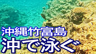 石垣島ゆる旅４日目（前編）竹富島沖でシュノーケリングを満喫