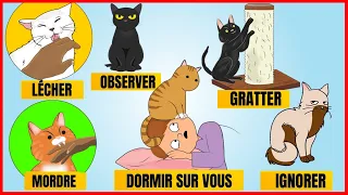 14 comportements les plus étranges des Chats et leurs Significations | Incroyablement Top