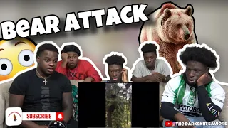 UNBELIEVABLE Bear Attacks & Interactions CAUGHT ON CAMERA! Reaction.