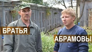 Сергей и Андрей Абрамовы. Рассказ о птичьем хозяйстве