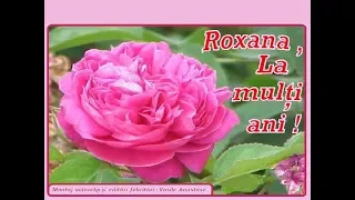 ROXANA, LA MULTI ANI 1