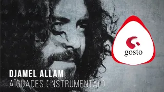 Djamel Allam - Aïgades Instrumental ( Album Gouraya )