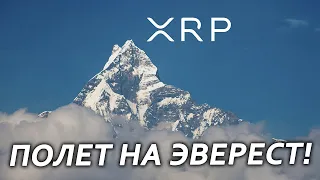 XRP RIPPLE ВЗРЫВАЕТСЯ!! ПОРА КОПИТЬ XRP!!! КОГДА XRP ПОДНИМЕТСЯ ДО НЕБЕС!