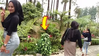 Hilarious bushman prank..!!