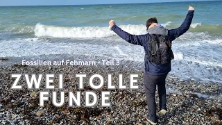 Zwei tolle Funde - Fossilien sammeln an der Ostsee