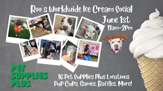 Live with Michelle from Pet Supplies Plus for an Ice Cream Social Preview