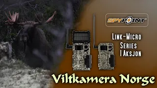 VILTKAMERA I AKSJON | SpyPoint Link-Micro-S LTE