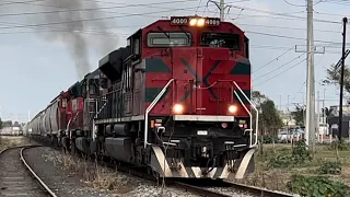 Locomotoras quemándose! 3 locomotoras EMD moviendo pesado tren granelero a toda potencia!