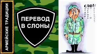 Перевод в СЛОНы / АРМЕЙСКИЕ ТРАДИЦИИ