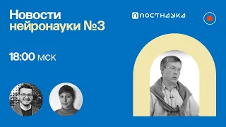 Новости нейронауки #3 с Вячеславом Дубыниным: нейроимпланты на 3D-принтере, восстановление нейронов