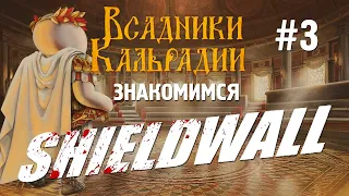 Shieldwall: Игра вышла в релиз. А есть ли изменения?