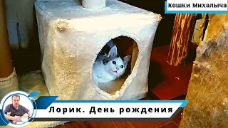 Лорик. День рождения!