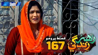 Zahar Zindagi - Ep 167 Promo | Sindh TV Soap Serial | SindhTVHD Drama
