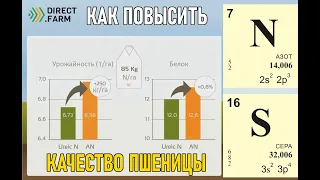 Качество пшеницы.  Kaк повысить протеин