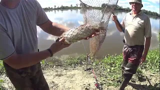 Ловля Стерляди и Язя на Оби