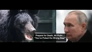 "Mr. Putin, You've Poked The Wrong Bear" - The Story of Wounded Ukrainian Bear Seeking Revenge