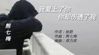 《我爱上了你你却伤透了我》 演唱：熊七梅