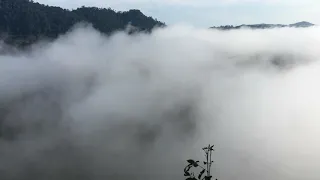 View point/Coffin cliff (Borneo rainforest lodge)