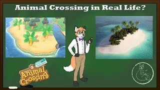 Animal Crossing in Real Life? How to Make Your Own Island Country: Clever Fox Academy
