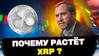 XRP стремительно дорожает - почему это происходит ? | Маск требует срочно “остановить” ChatGPT