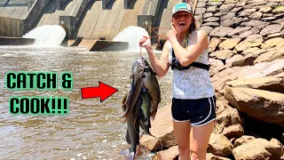 CATFISHING a MASSIVE SPILLWAY with RARE Live Bait!!! CATCH CLEAN and COOK Spicy Grilled Fillets!!