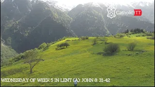 Daily reflection 🇹🇹🇹🇹: Wednesday, March 29, 2023 - 5th Week in Lent (A)