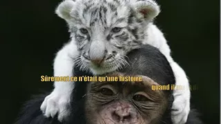 Ton Meilleur Ami [Only Friends] by Françoise Hardy (with lyrics)