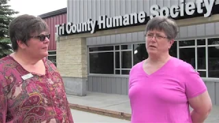 TCHS Excited to Move Into New Shelter Next Month [VIDEO]