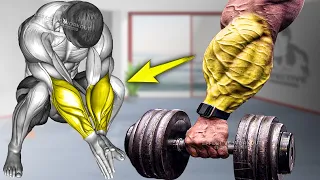 5 BEST Exercises to Increase Forearm Size