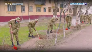 Военнослужащие Министерства обороны проводят масштабную работу по благоустройству и озеленению