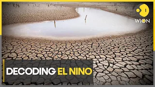 How El Nino is helping drive heatwaves and extreme weather? | WION Climate Tracker
