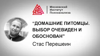 Лекция Стас Перешеина «Домашние питомцы. Выбор очевиден и обоснован». Проект РЕБЕНОК