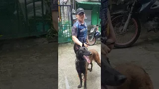 Sgt.kiven ginala nya Ang aso nya. Ang laki ng k9 guys