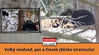 Veľký medveď, pes a človek (blízke stretnutie) 💪🐻🐶👨‍🦰