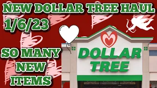 NEW DOLLAR TREE HAUL 🤑 1/6/23. SO MANY NEW ITEMS