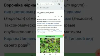 Что такое криптонит What is kryptonite