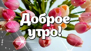 🌷Доброе утро! Тюльпаны для Вас, просто так, от души! Открытка С Добрым утром