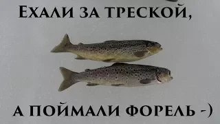 Зимняя рыбалка / форель / Winter fishing / trout