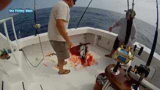 Amazing Fastest Giant Bluefin Tuna Fishing Skill Most Satisfying Sea Fishing Video 2