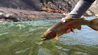 Float Fly Fishing the MOST Beautiful Canyon in America